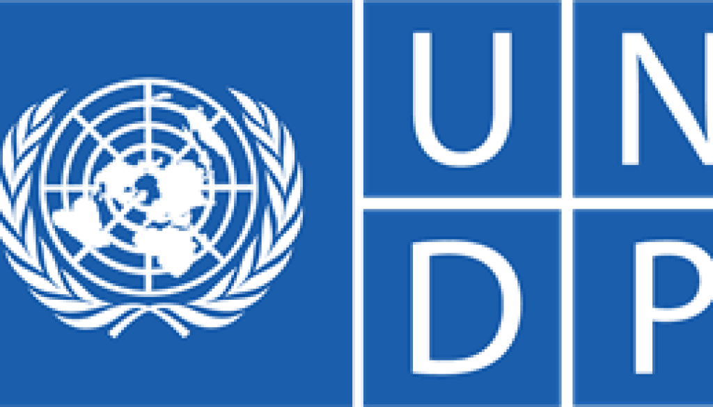 undp Digital Transformation Specialist Manager Vacancy-Job Ref: WJBWUNDP/1201/202669